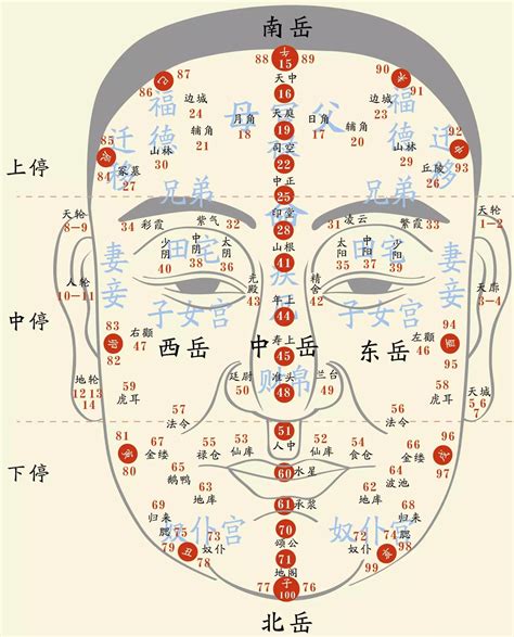 面相|面相學